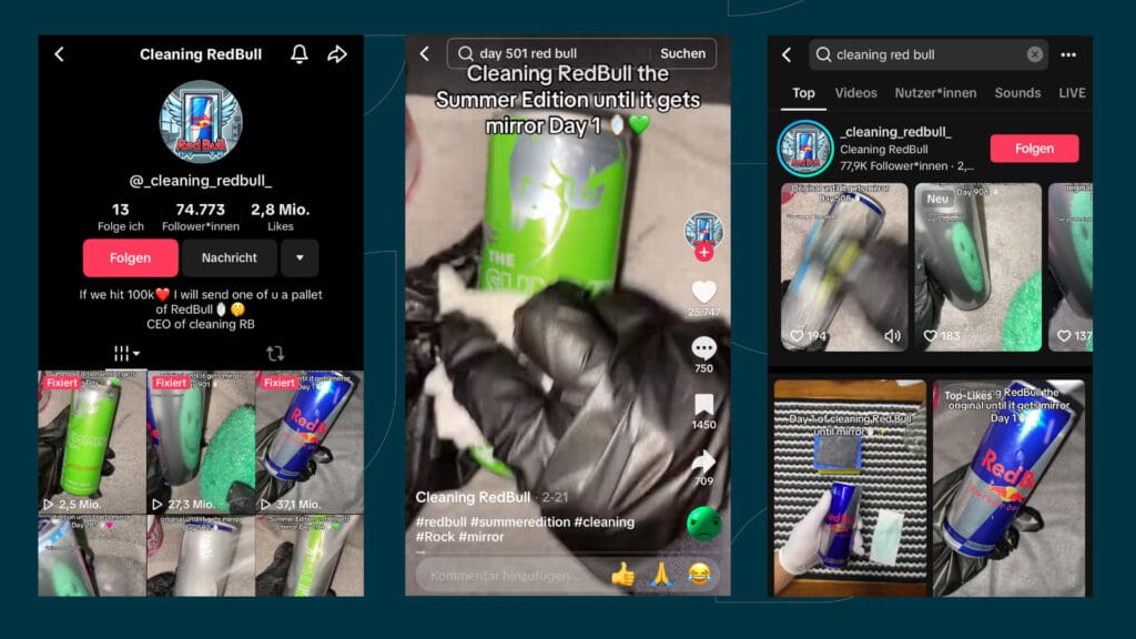 Mit TikTok Geld verdienen - 10X Career